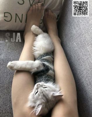 欧美性爱视频一区二区_DVD迅雷电影在线