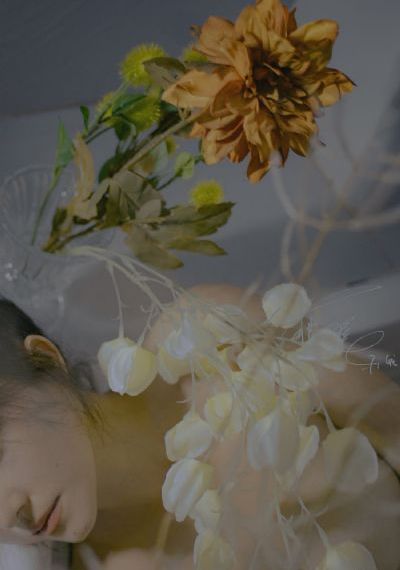 一步青云免费全文阅读_1080在线播放观看